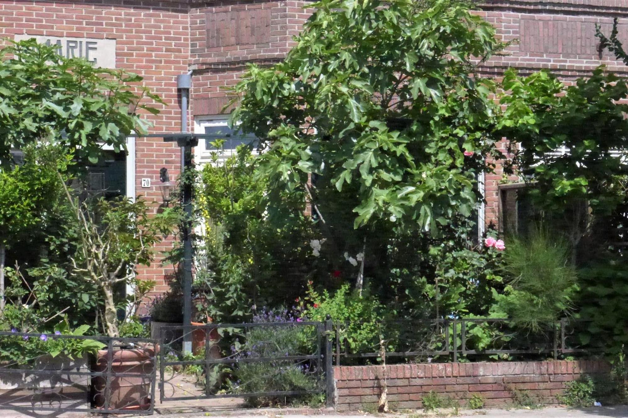 Family Home Marie Зандвоорт Екстериор снимка
