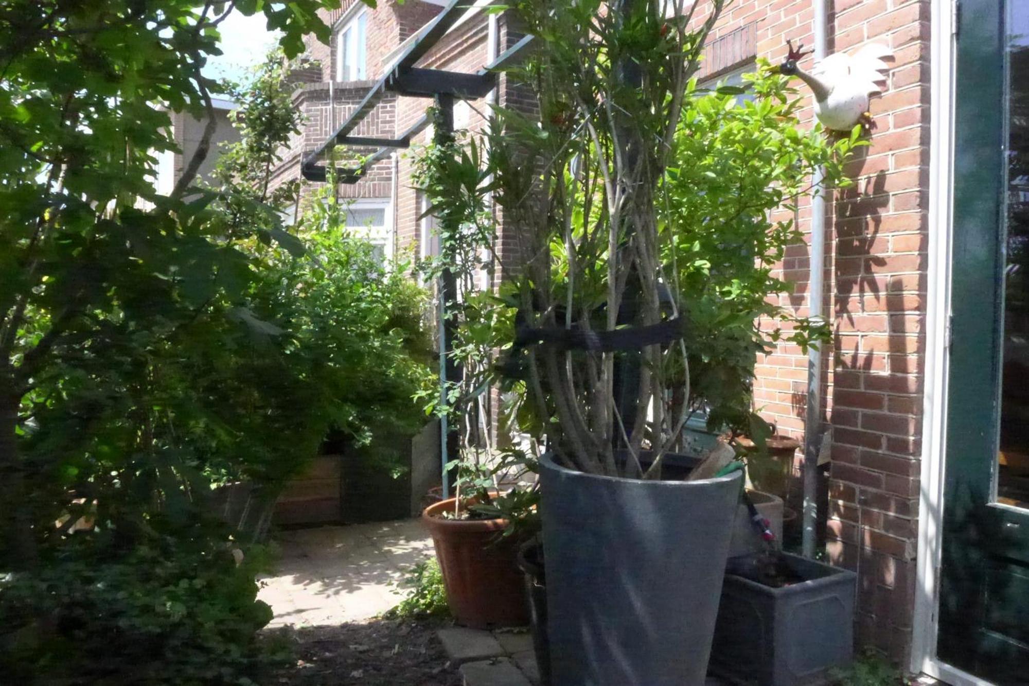 Family Home Marie Зандвоорт Екстериор снимка