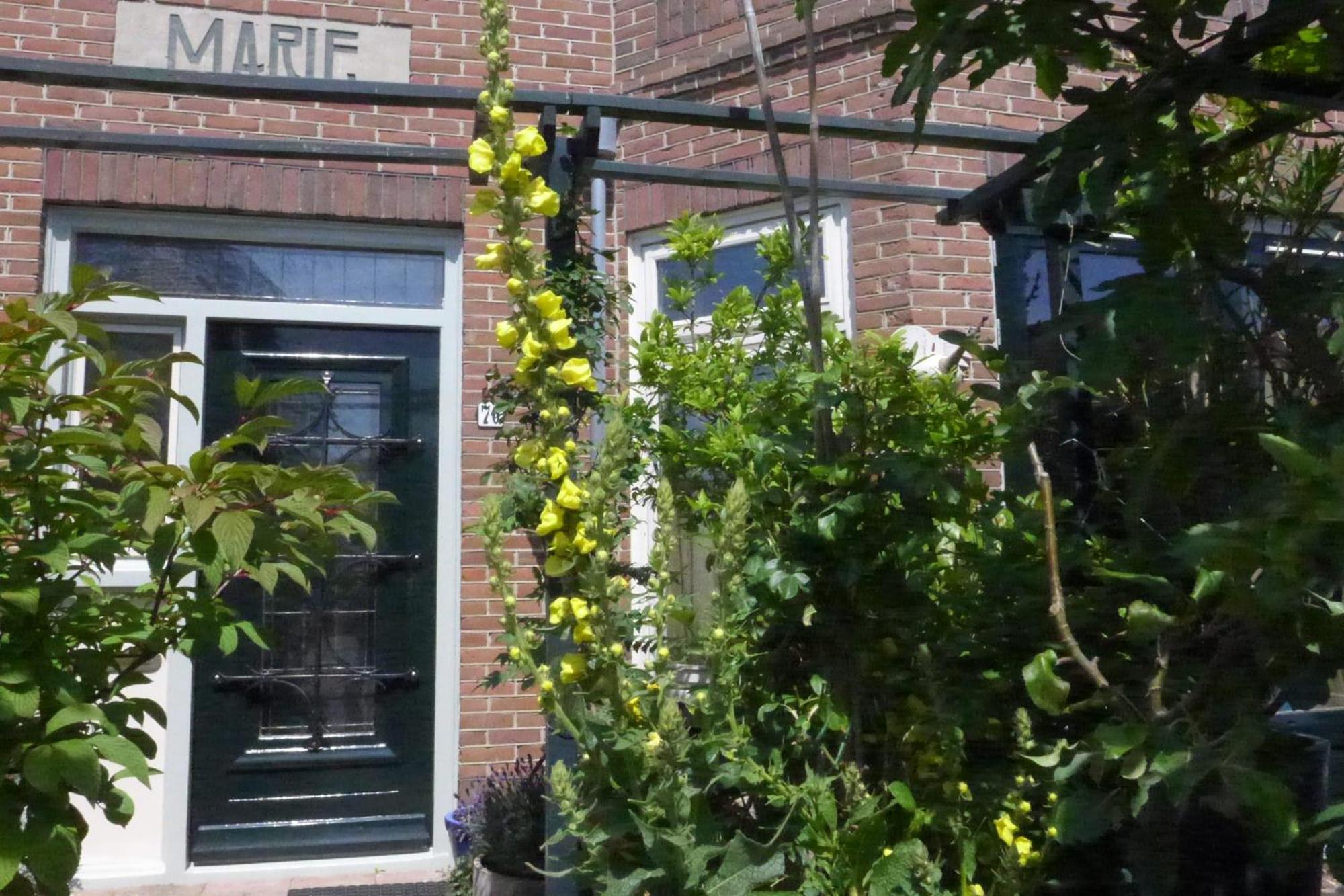 Family Home Marie Зандвоорт Екстериор снимка